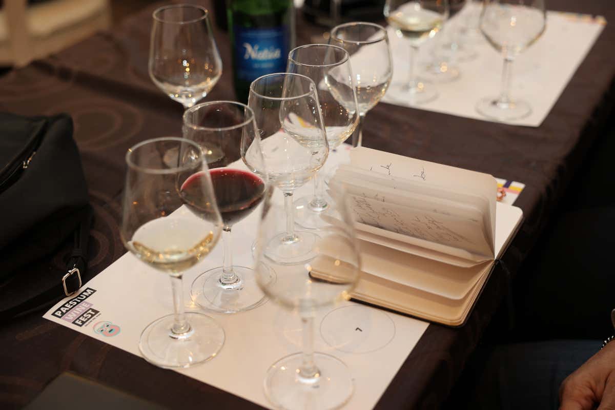 Paestum Wine Fest 2024 a Capaccio: date, programma e tutti i protagonisti Paestum Wine Fest 2024 a Capaccio: date, programma e tutti i protagonisti